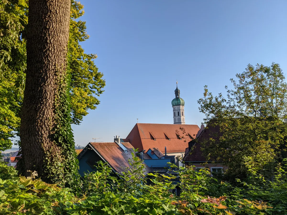 Blick durch die Bäume auf St. Jakob in Dachau